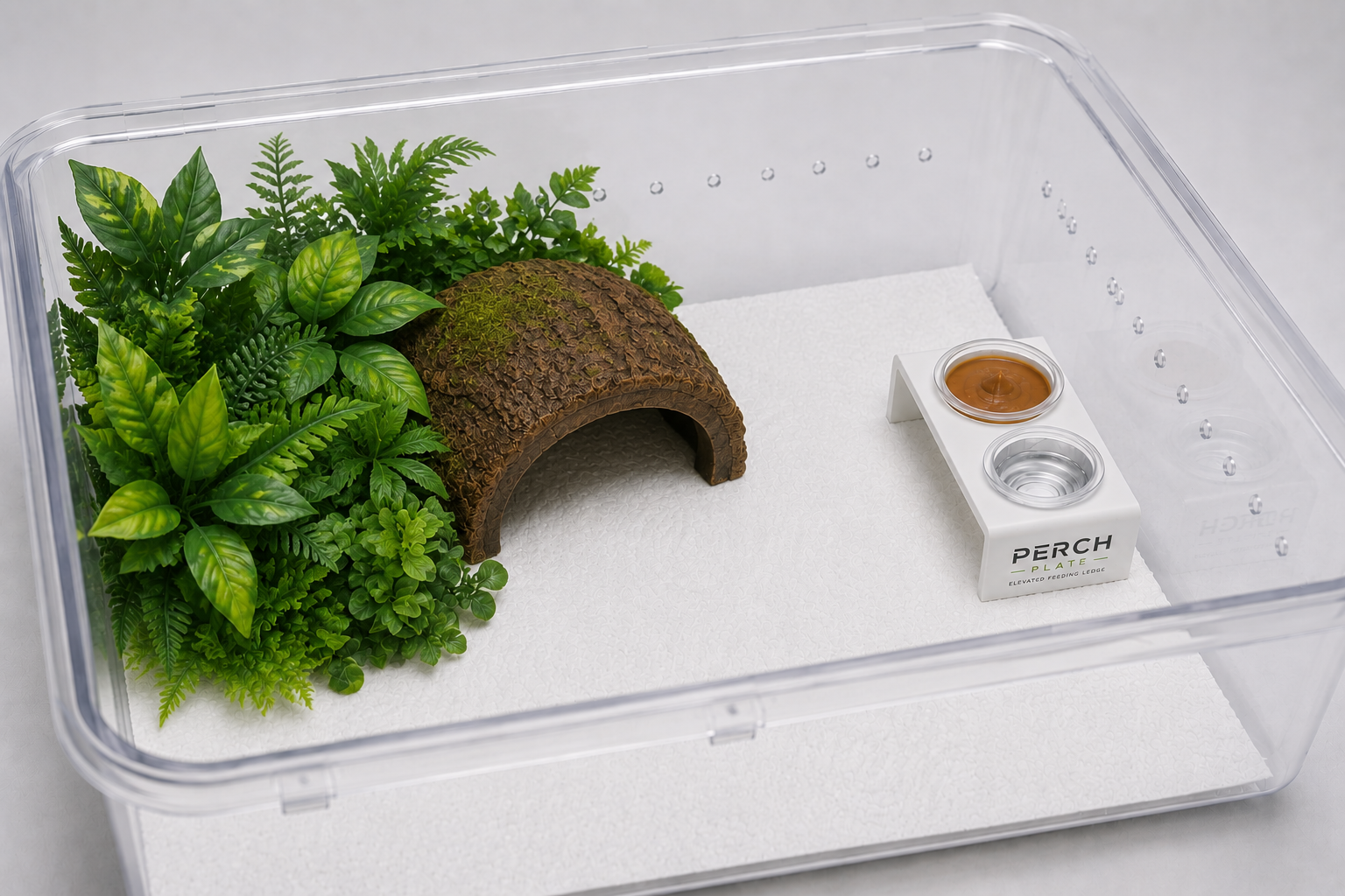Clean setup with Perch Plate